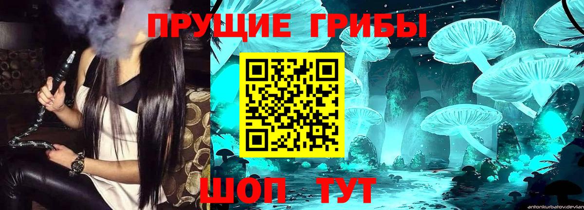 Галлюциногенные грибы Cubensis  Вход с VPN  Лангепас 