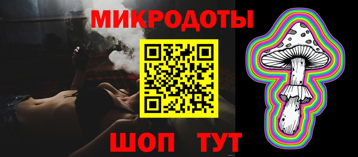 Галлюциногенные грибы Psilocybine cubensis Лангепас